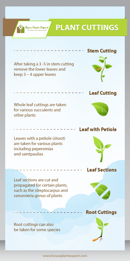 Propagating Guide Picture Steps