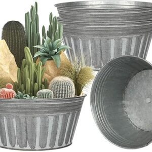 10 Inch Silver Metal Rustic Plant Pots