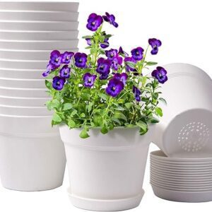 15 Pack 6 inch Plastic Planters