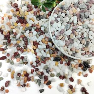 2lbs Pea Gravel for Plants, Mixed Color