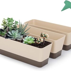 3-Pack 12" Window Boxes with Plant Labels