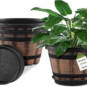 3-Pack Whiskey Barrel Planters with Saucer