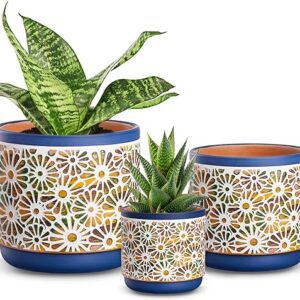 3 Piece Ceramic Plant Pots Set