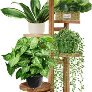 5-Tier Wood Plant Stand Shelf Display