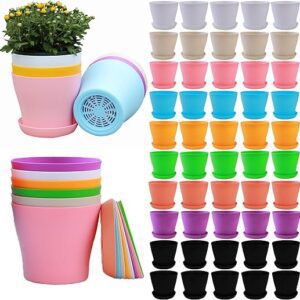 50 Pack Small Plastic Plant Pots