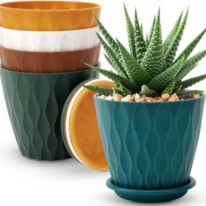 6 inch Plant Pots 5 Pack