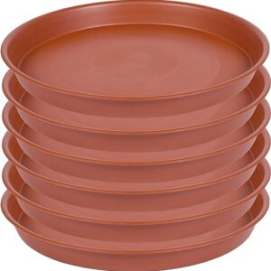 6-inch Plant Saucer 6-Pack