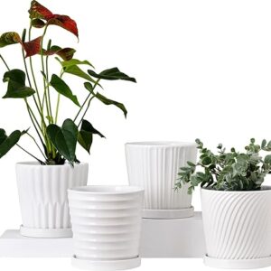 6 Inch White Ceramic Flower Pots