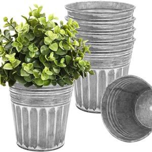 6Pcs Galvanized Flower Pots with Drainage