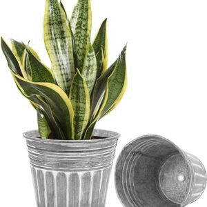 7 Inch Metal Flower Pots - 2Pcs