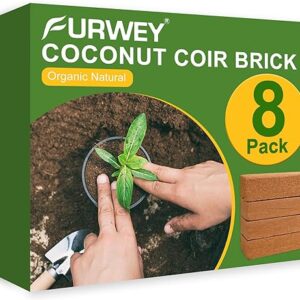 8 Pack Coco Coir Bricks for Plants