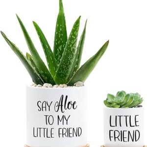 Aloe Friend Planter Set with Tray