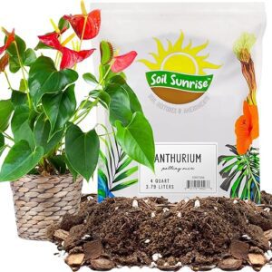 Anthurium Plant Potting Soil Mix Blend