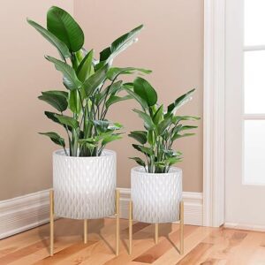 ARNIS Plant Pots with Stand, Mid-Century Decor