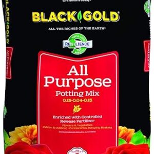 Black Gold Purpose Potting Soil With Control