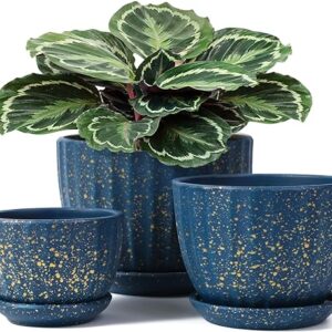 Blue Flower Pots with Saucers Set