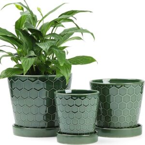 Ceramic Plant Pot Set with Tray