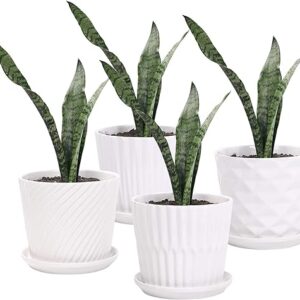 Ceramic Plant Pots with Saucer Set