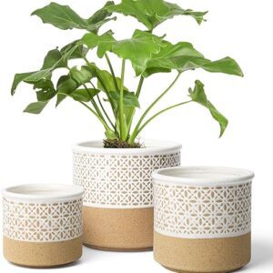 Ceramic Planters Set for Indoor Plants