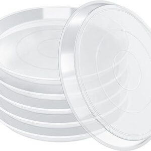 Clear Plant Saucers for Various Pots