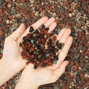 Horticultural Lava Rock Pebbles for Landscaping