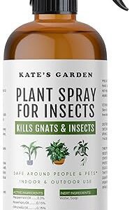 Kate's Peppermint Plant Spray for Bugs