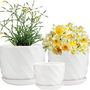 Laerjin Ceramic Garden Plant Pots Set