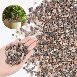 Lava Rock Pebbles for Indoor Plants