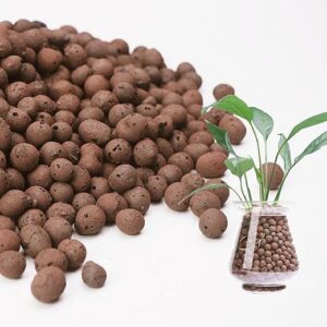 LECA Balls for Indoor Plant Growth