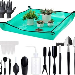 Mini Garden Hand Transplanting Succulent Tools