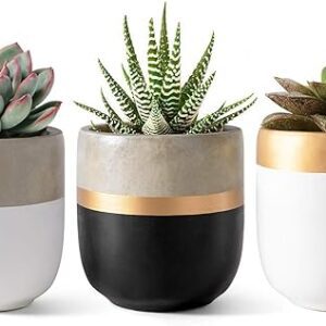 Modern Cement Succulent Planter Pots Set