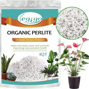 Organic Horticultural Perlite for Indoor Plants