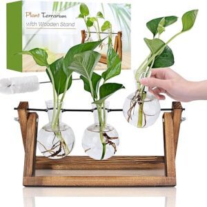 Plant Propagation Station with Wooden Stand