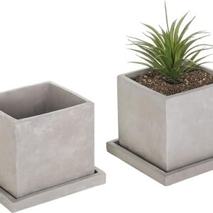 Square Gray Cement Planters Set of 2